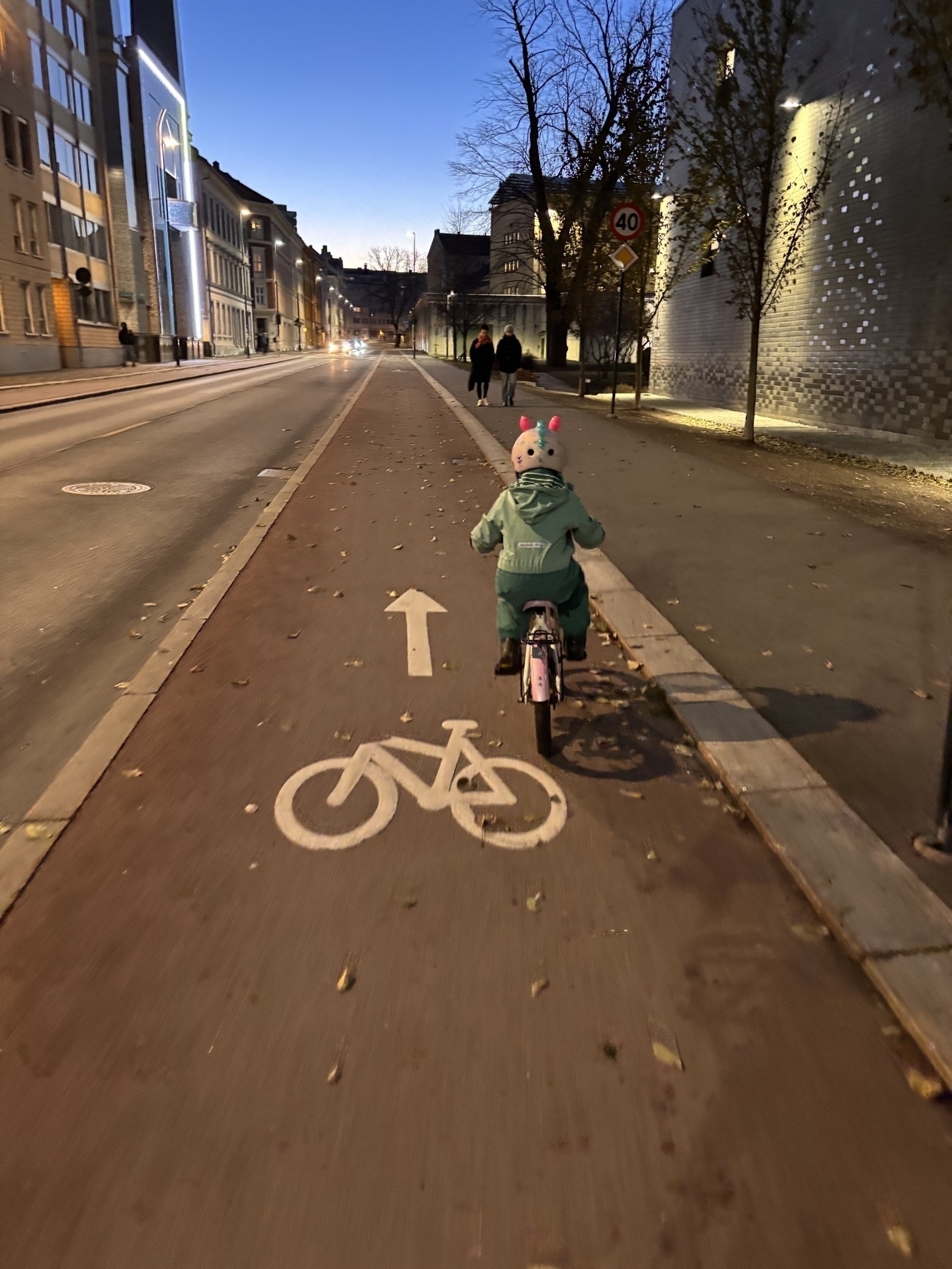 A child in a green coat rides a bicycle on a designated bike lane in an urban area during dusk.