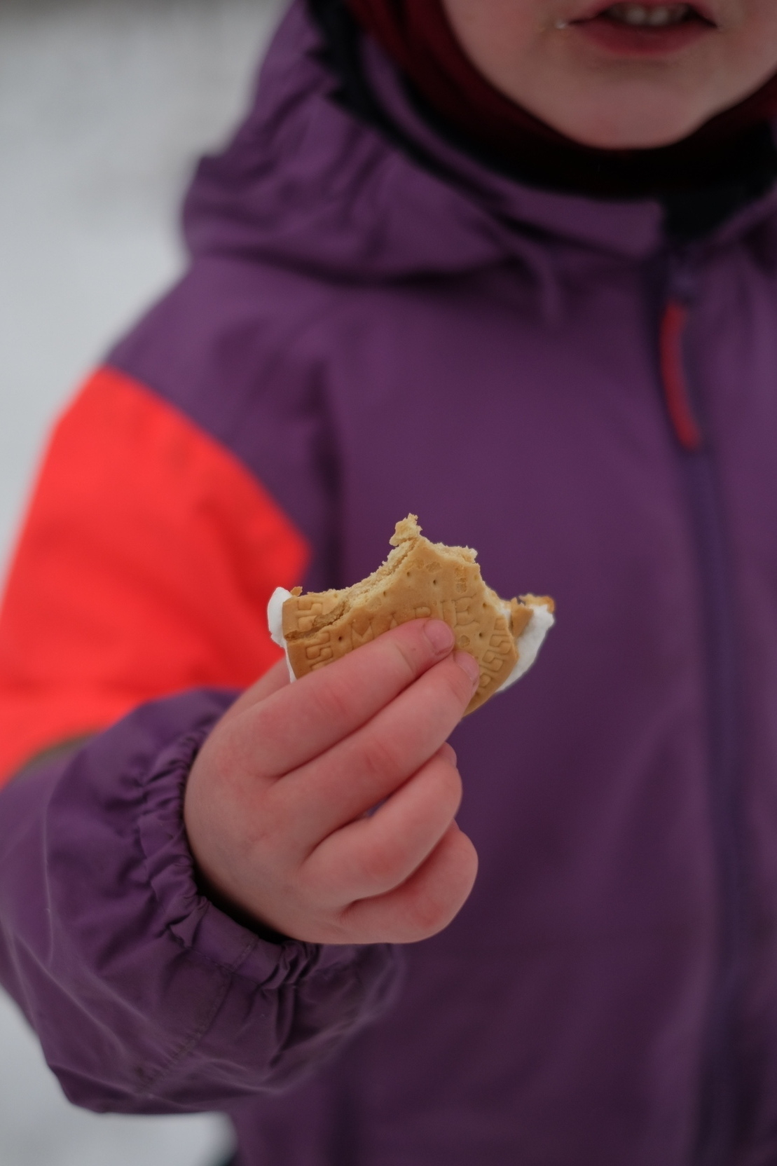 A child holds a bitten vanilla sandwich cookie.