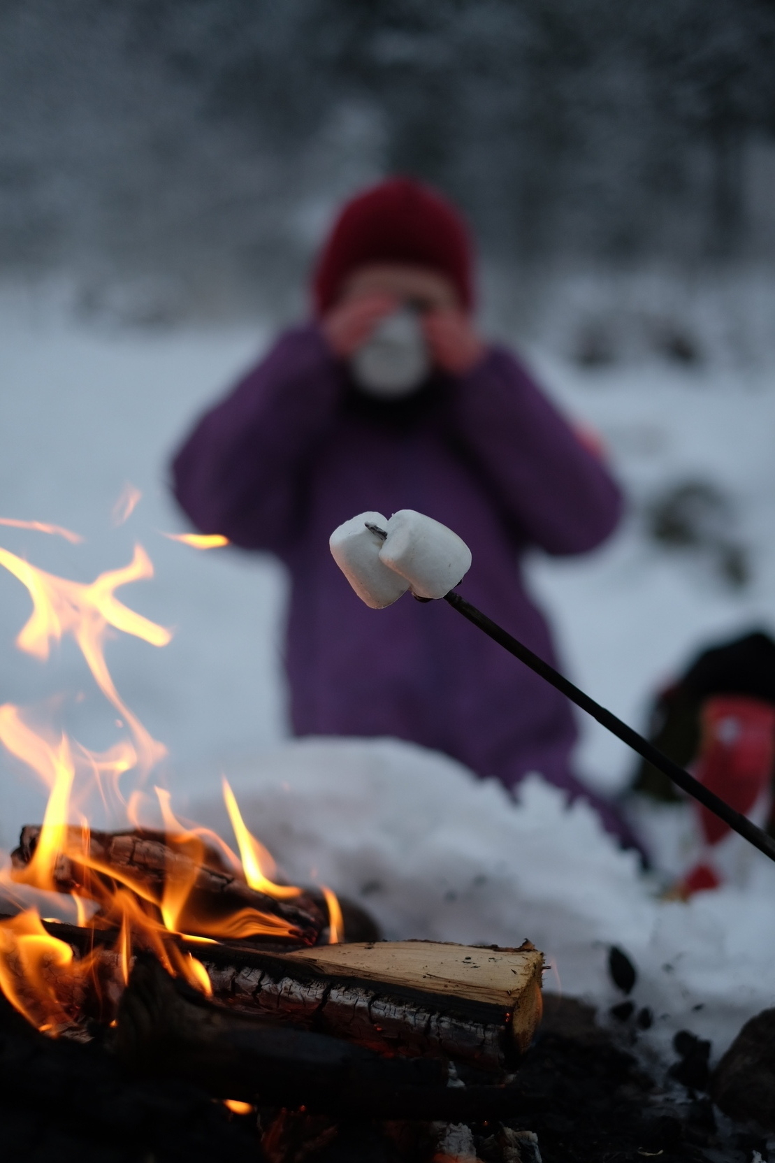 A campfire burns in a snowy landscape. Blurred child in the back, marshmallows over fire.